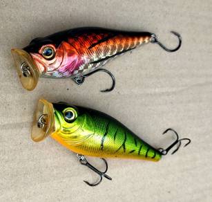 Eupro Big-mouth Popper combo