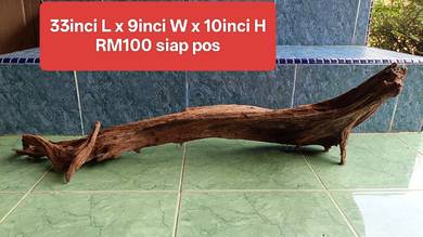 Driftwood   untuk aquarium 4kaki panjang