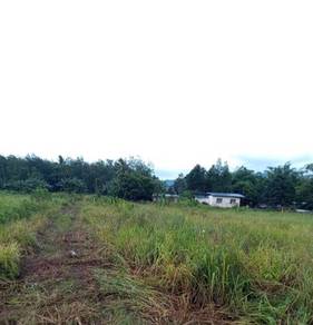 Agricultural Land in Kota Marudu, SBH
