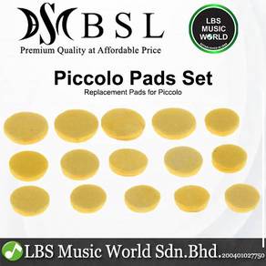 BSL Piccolo Pad Kit Set for Replacement and Mainte
