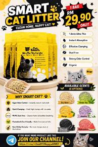 Tofu Cat Litter | Cat Smart litter