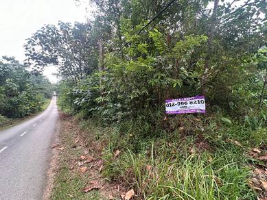 Agricultural Land in Sungai Buloh, SGR