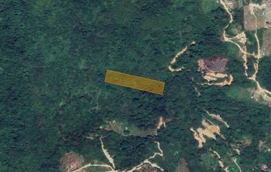 Agricultural Land in Gombak, SGR