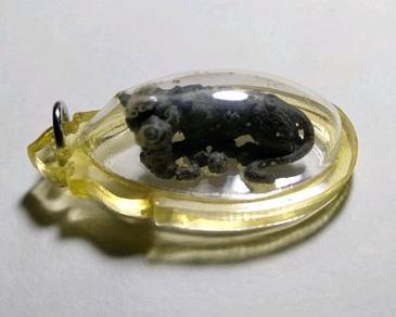 Tiger Thai Amulet