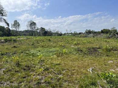 Residential Land in Marang, TRG