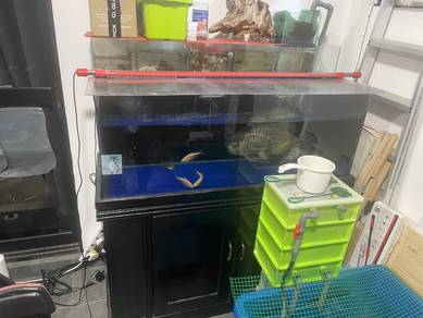 4 ft Fish tank