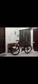 basikal like new