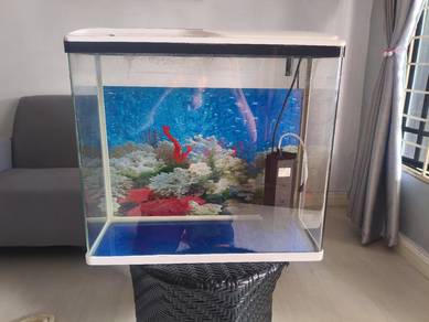 Aquarium 2kaki