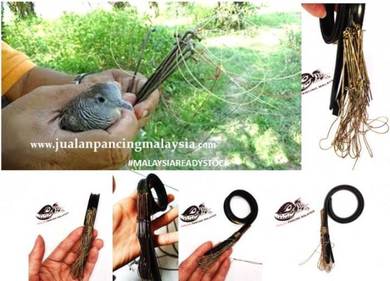 Racik Jerat Burung Terkukur (21 Batang)