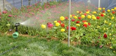 2nd Gen Digital Water Control Timer for Garden