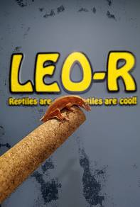 Crested Gecko