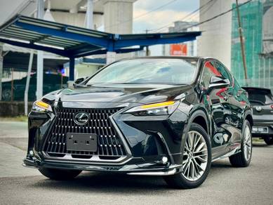 2023 Lexus NX 250 LUXURY
