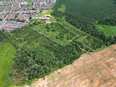 Agricultural Land in Kuala Ketil, KDH