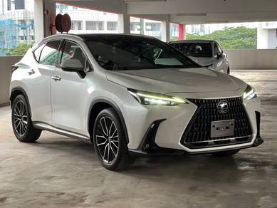 2023 Lexus NX 250 LUXURY