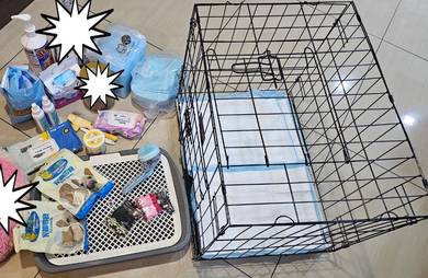 Dog, Puppy, Pet Items for Sale
