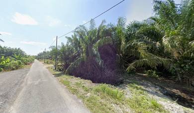 Agricultural Land in Pontian, JHR