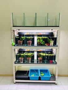 Set Aquarium For Sales