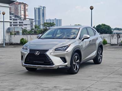 2018 Lexus NX 300 PREMIUM