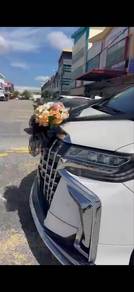 Toyota Alphard SC in Sungai Petani, KDH