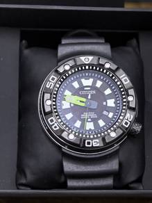 Citizen Promaster Eco-Drive Professional Diver's 