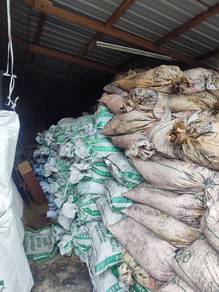 Sekam padi bakar Dan mentah untuk tanaman