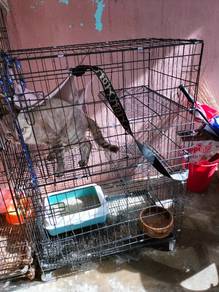 Cat Cage 3 Tingkat