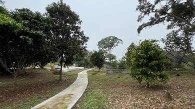 Agricultural Land in Klang, SGR