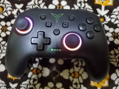 Nintendo Switch Controller
