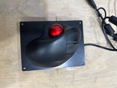 Mounted Mouse