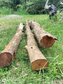 Kayu belah Pinang untuk di jual