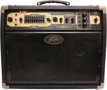 Peavey E110 Acoustic Guitar Amp - 100W
