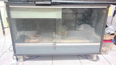 Reptile cage box