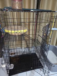 Kandang Kucing / Cat Cage