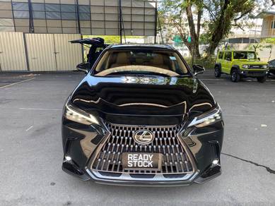 Lexus NX 250 LUXURY in City Centre, KUL