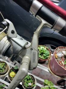batang pancing ,Fishing rod, joran pancing