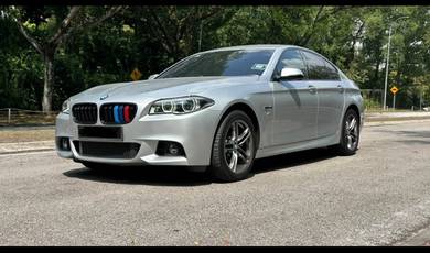 BMW 520d 20d M SPORT in Subang Jaya, SGR