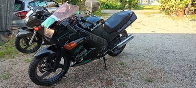 Kawasaki ZZR 250