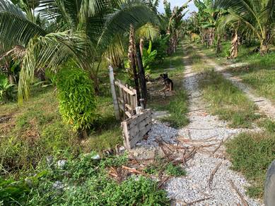 Agricultural Land in Teluk Intan, PRK