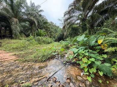 Agricultural Land in Sik, KDH