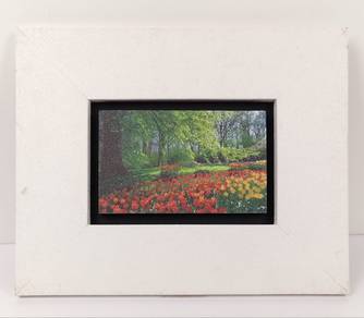 Framed Lithograph Print - Garden Landscape