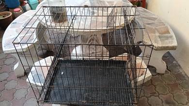 Sangkar Kucing 