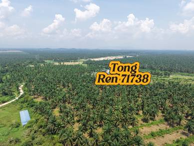 Agricultural Land in Sungai Petani, KDH