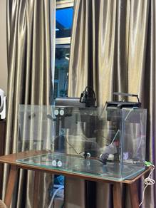fish tank with accessories