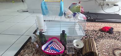 Cheap Guinea Pig Cage and accessories