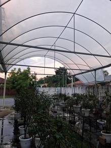 greenhouse roof