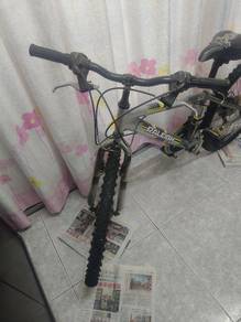 Bicycle Pioneer Raleigh with air pump