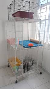 Cage Cat or Bird 