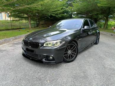 2014 BMW 520i 20i