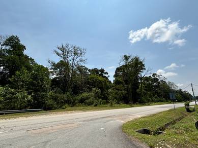 Agricultural Land in Gelang Patah, JHR