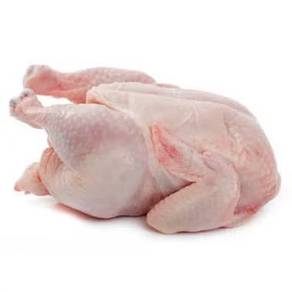 pembekal ayam daging